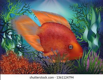 Underwater background with fish Red Parrot, vector illustration