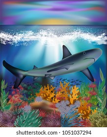 Underwater background with Shark, vector illustration