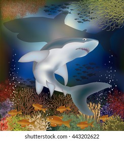 Underwater background with shark, vector illustration