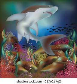 Underwater background with shark, vector illustration