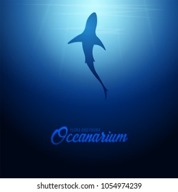 Underwater background with sun rays and silhouette of Shark. Deep Ocean banner. Color vector illustration