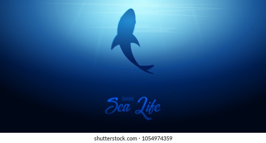 Underwater background with sun rays and silhouette of Shark. Deep Ocean banner. Color vector illustration