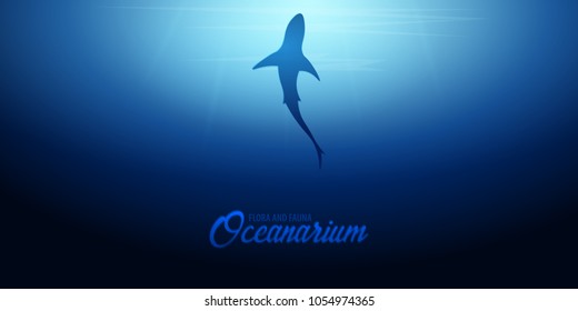 Underwater background with sun rays and silhouette of Shark. Deep Ocean banner. Color vector illustration