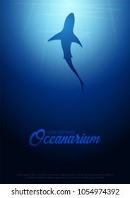 Underwater background with sun rays and silhouette of Shark. Deep Ocean poster. Color vector illustration