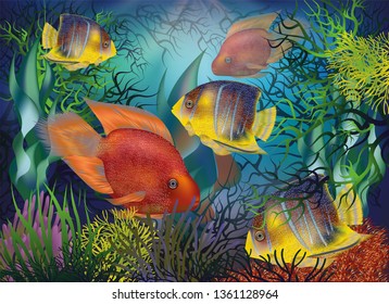 Underwater background with tropical fish, Red Parrot and Royal angelfish, vector illustration