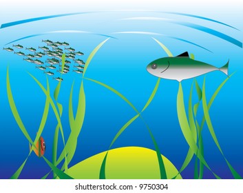 the underwater background (vector)