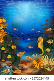 Underwater banner  with algae and sea horse, vector illustration