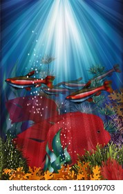 Underwater banner with fish Cardinal tetra and Herichthys Carpintis Super Red, vector illustration