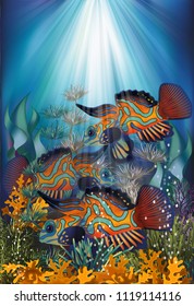 Underwater banner with Mandarin Dragonet fish, vector illustration