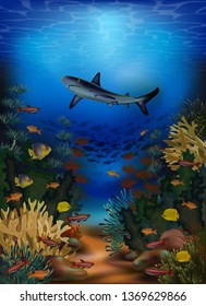 Underwater banner with shark and tropical fish, vector illustration