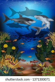 Underwater banner with tropical fish and sharks, vector illustration
