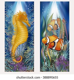 Underwater banners with clownfish, vector illustration