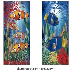 Underwater banners with clownfish, vector illustration