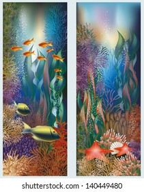 Underwater banners with starfish, vector illustration