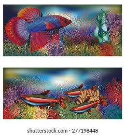 Underwater banners tropical fish, vector illustration