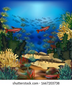Underwater beautiful landscape  with tropical fish, vector illustration