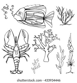 Underwater Black and White Set Flat Sea  Illustration Fish Cancer Algae Coral