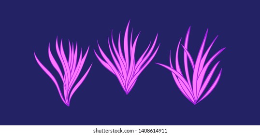 Underwater bright pink seaweed plants set. Cartoon seaware vector illustration, sea alga collection, isolated on blue background.