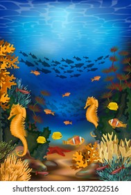 Underwater card with algae and seahorse, vector illustration