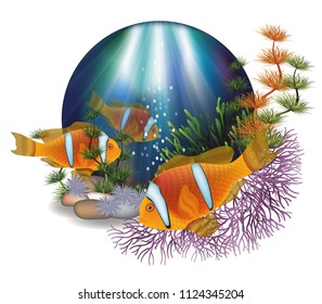 Underwater card with Clown Anemonefish,  vector illustration