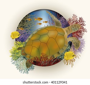 Underwater card with sea turtle, vector illustration