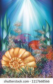 Underwater card with shell and tropical fish, vector illustration