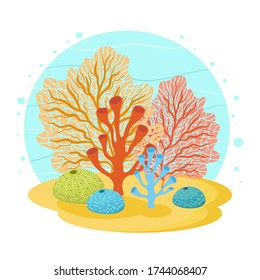 Underwater cartoon clipart with different kinds of corals on white background. Vector hand drawn illustration of under the sea scene.