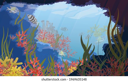 Underwater cave with green algae, corals, tropical fish and other sea creatures. Coral reef. Realistic vector underwater landscape