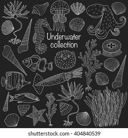 Underwater collection: shells, starfish, seaweed, deep sea fish, seahorse, jellyfish, octopus, squid