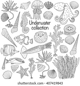 Underwater collection: shells, starfish, seaweed, deep sea fish, seahorse, jellyfish, octopus, squid