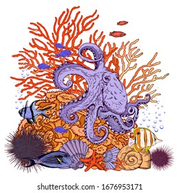 Underwater colorful scenery with octopus, shells, corals and tropical fishes. Hand drawn vector illustration isolated on white.