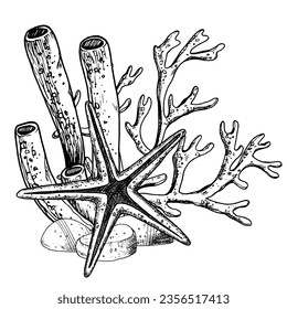 Composición submarina con tubo Coral y Estrella marina sobre fondo aislado. Ilustración vectorial dibujada a mano de Starfish y algas marinas para icono o logotipo. Dibujo del submarino en línea de arte. Tintas negras.