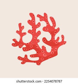 Underwater coral of red color vector illustration. Cartoon drawing of sea plant isolated on beige background. Summer, vacation or holiday, marine life concept