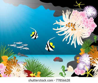 underwater coral reef illustration