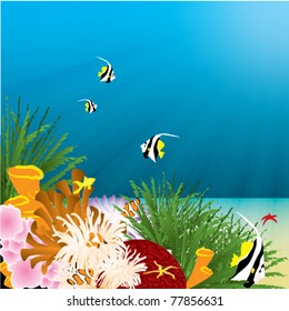 underwater coral reef illustration