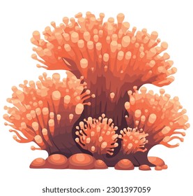 Underwater coral reef paradise over white