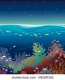 Underwater coral reef seabed with school of fish and water surface with night starry sky. Seascape vector illustration.