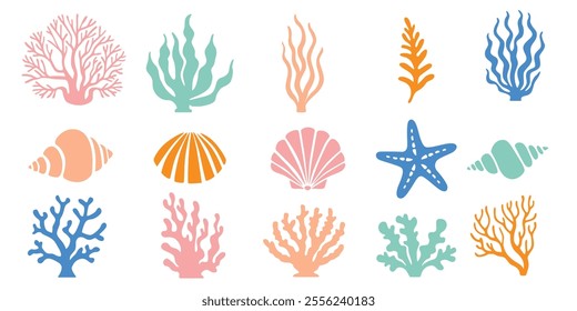 Underwater coral and seaweed, shells, vector cartoon on a white background.Vector eps 10