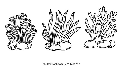 Underwater coral and seaweed vector set, hand-drawn marine plants line art. Minimalist ocean reef illustrations, black and white sea life doodles isolated