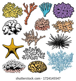 Underwater corals, polyps, sea urchins and starfish vector icons. Oceanarium ocean starfish, sea urchin and polyps, aquarium fauna, marine anemones and ocean reef habitats