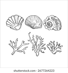 Corais subaquáticos e conchas pintadas à mão esboço de linha. Ilustração vetorial 