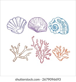 Corales submarinos y conchas marinas dibujadas a mano. Ilustración vectorial 