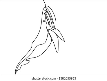Underwater creature. Whale. Continuous line