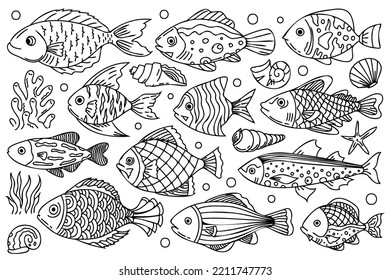 El paquete de criaturas submarinas. Arte de línea, peces esquemáticos, conchas y plantas con línea delgada negra. Cute peces de mar doodle line art, ilustraciones decorativas y estilizadas para tus proyectos de diseño.