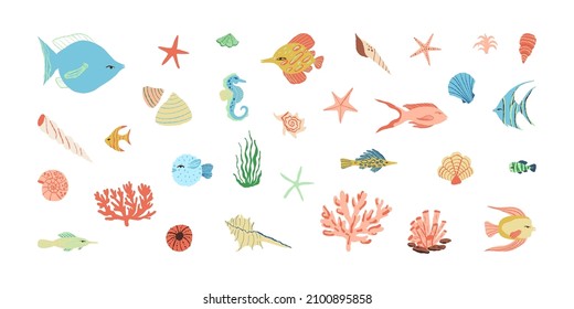 Underwater creatures hand-drawn vector collection. Exotic sea and ocean fish like an angelfishes and a pufferfish, a seahorse, a sea star, shells, a coral reef and seaweed.