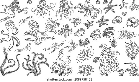 Underwater doodle illustration. Vector illustration with sea and ocean life