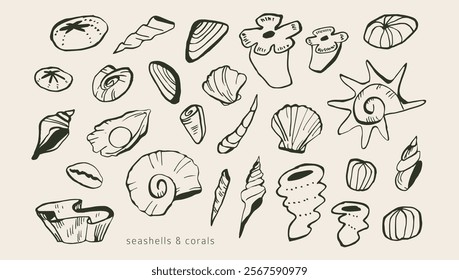 Underwater elements: seashells, mollusks. Modern organic wild life doodles. Simple outline ink sketches. Collection of hand drawn sea, ocean coral reef elements. Isolated vector. Naive childish style