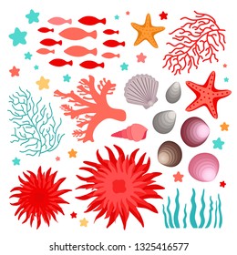 Underwater elements set. Shells, corals, seaweeds, starfishes, school of fish, sea anemones. Wild ocean nature, sea life. Reef inhabitants. Collection of vector objects. Tropical aquatic environment.