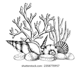 Underwater engraved composition with Seashells and Corals on isolated background. Hand drawn vector illustration of Seaweeds and seabed. Drawing of undersea in line art style painted by black inks.