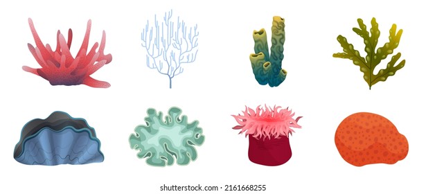 Underwater exotic plants and marine animals set from deep sea bottom or aquarium vector illustration. Cartoon seaweed and coral reef collection isolated white. Undersea life, tropical nature concept